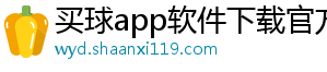 买球app软件下载官方版